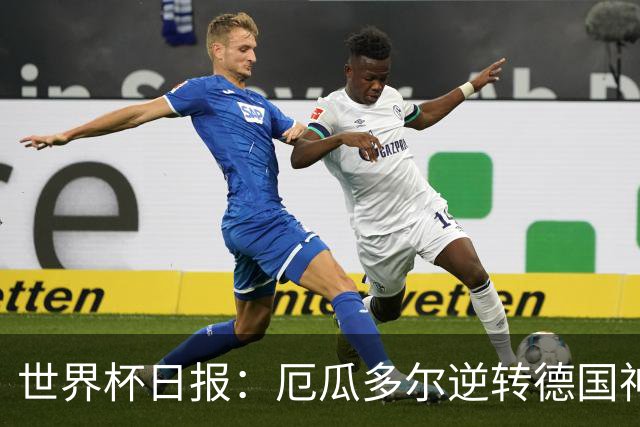 世界杯日报：厄瓜多尔逆转德国神奇出线 日本晋级将战巴西