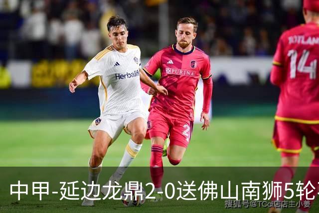 中甲-延边龙鼎2-0送佛山南狮5轮不胜 多明戈斯角球破门徐继祖建功
